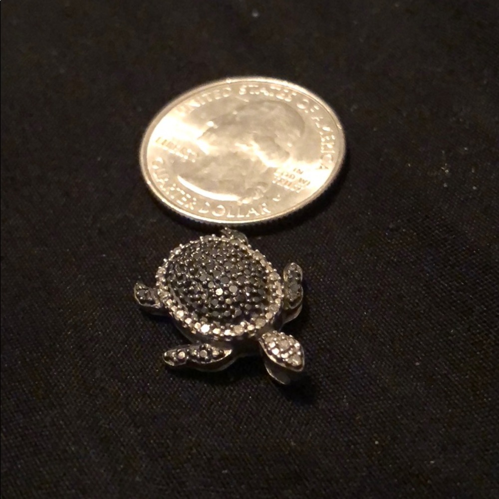 Turtle charm